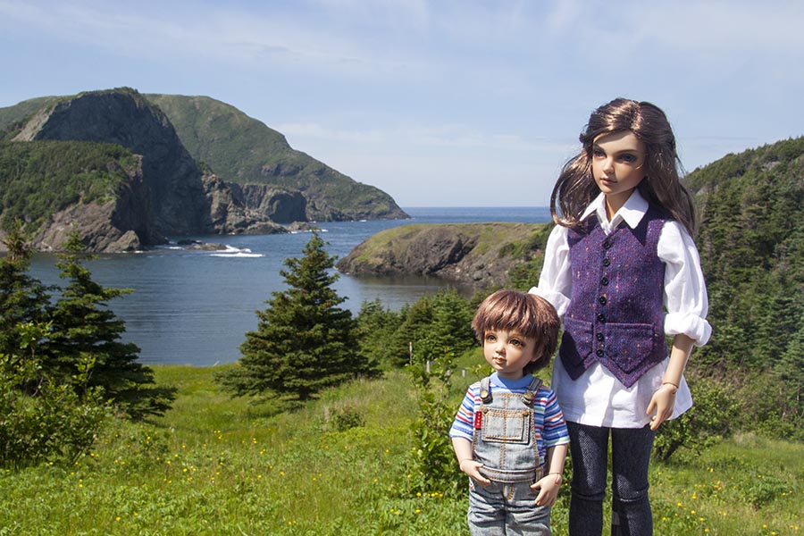 Overlooking Bottle Cove